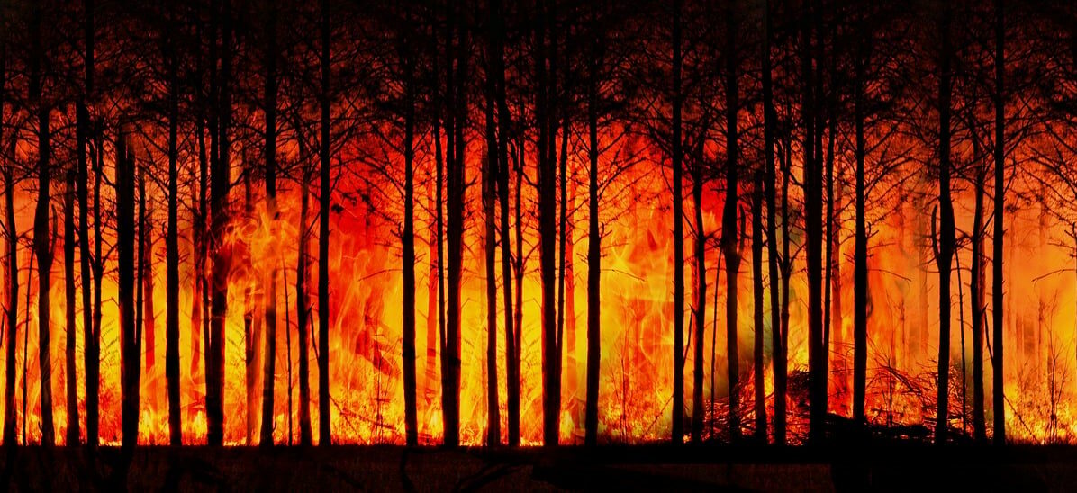 Δασική Πυρκαγιά ©pixabay