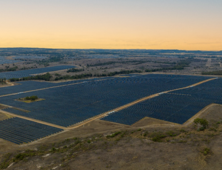 Tο ηλιακό πάρκο Wandoan South © www.venaenergy.com