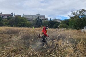 Οικόπεδα ©ΑΠΕ-ΜΠΕ/ΔΗΜΟΣ ΑΘΗΝΑΙΩΝ/STR