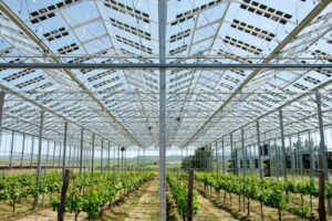 Brite Solar, solar glass ©https://www.britesolar.com/solar-glass