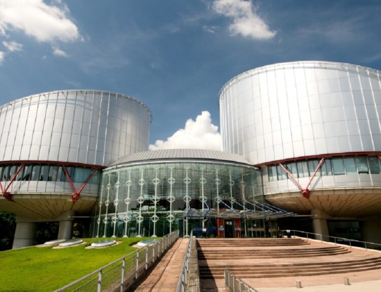 ΕΔΔΑ ©https://www.coe.int/en/web/tbilisi/europeancourtofhumanrights