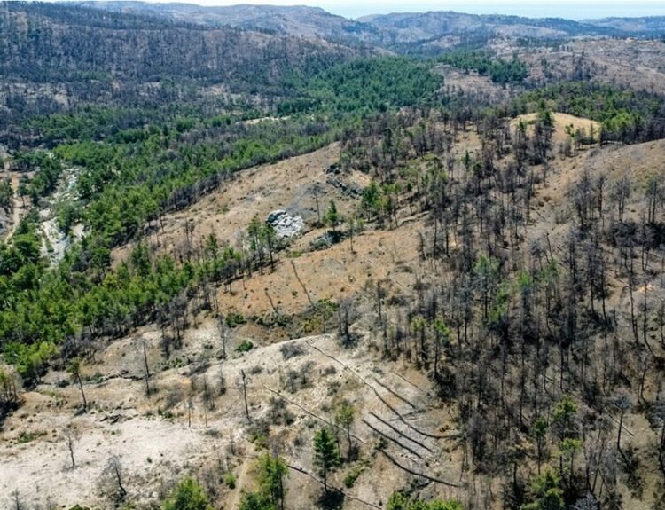 Έργο αποκατάστασης στη Ρόδο © Nova