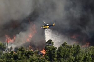 Πυρκαγιά στον Βαρνάβα Αττικής © ΜΙΧΑΛΗΣ ΚΑΡΑΓΙΑΝΝΗΣ / EUROKINISSI