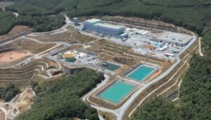 ΣΚΟΥΡΙΕΣ, ΕΛΛΗΝΙΚΟΣ ΧΡΥΣΟΣ