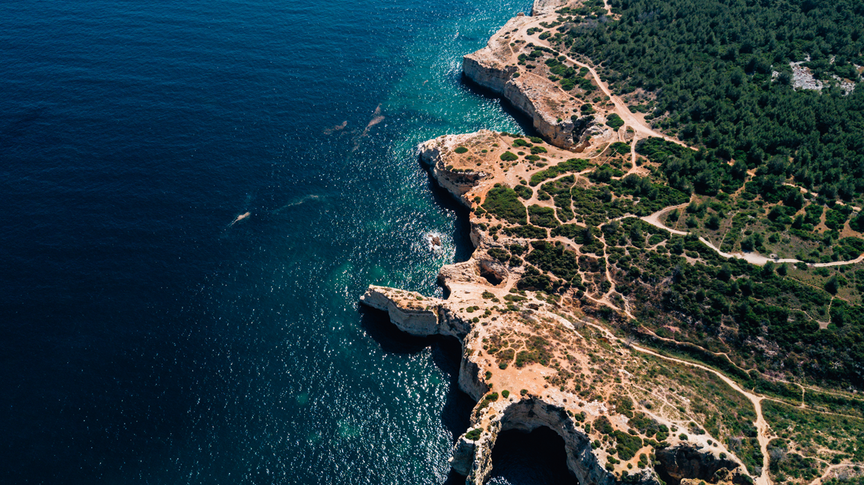 ΜΕΣΟΓΕΙΟΣ ΘΑΛΑΣΣΑ