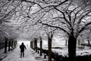 ΧΙΟΝΙ ΣΤΗ ΓΑΛΛΙΑ