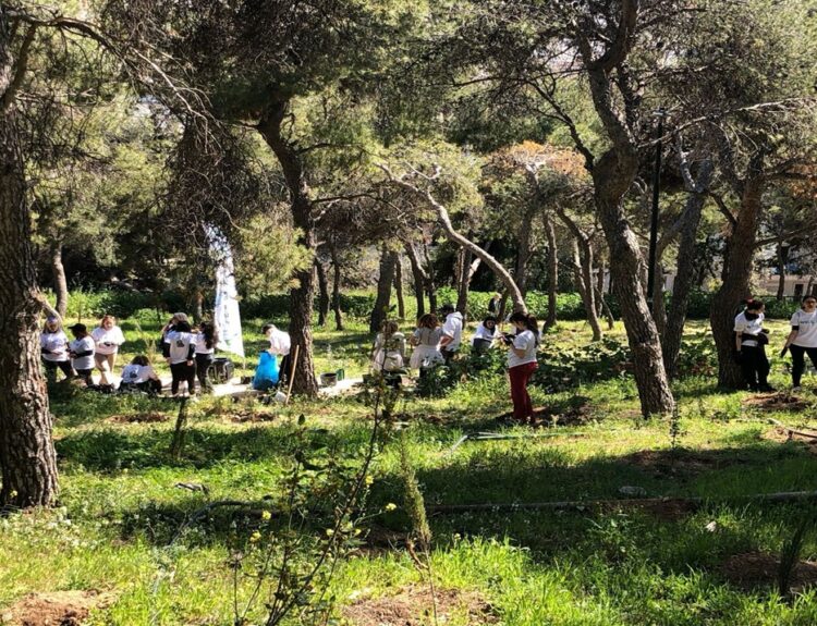ΔΕΝΔΡΟΦΥΤΕΥΣΗ