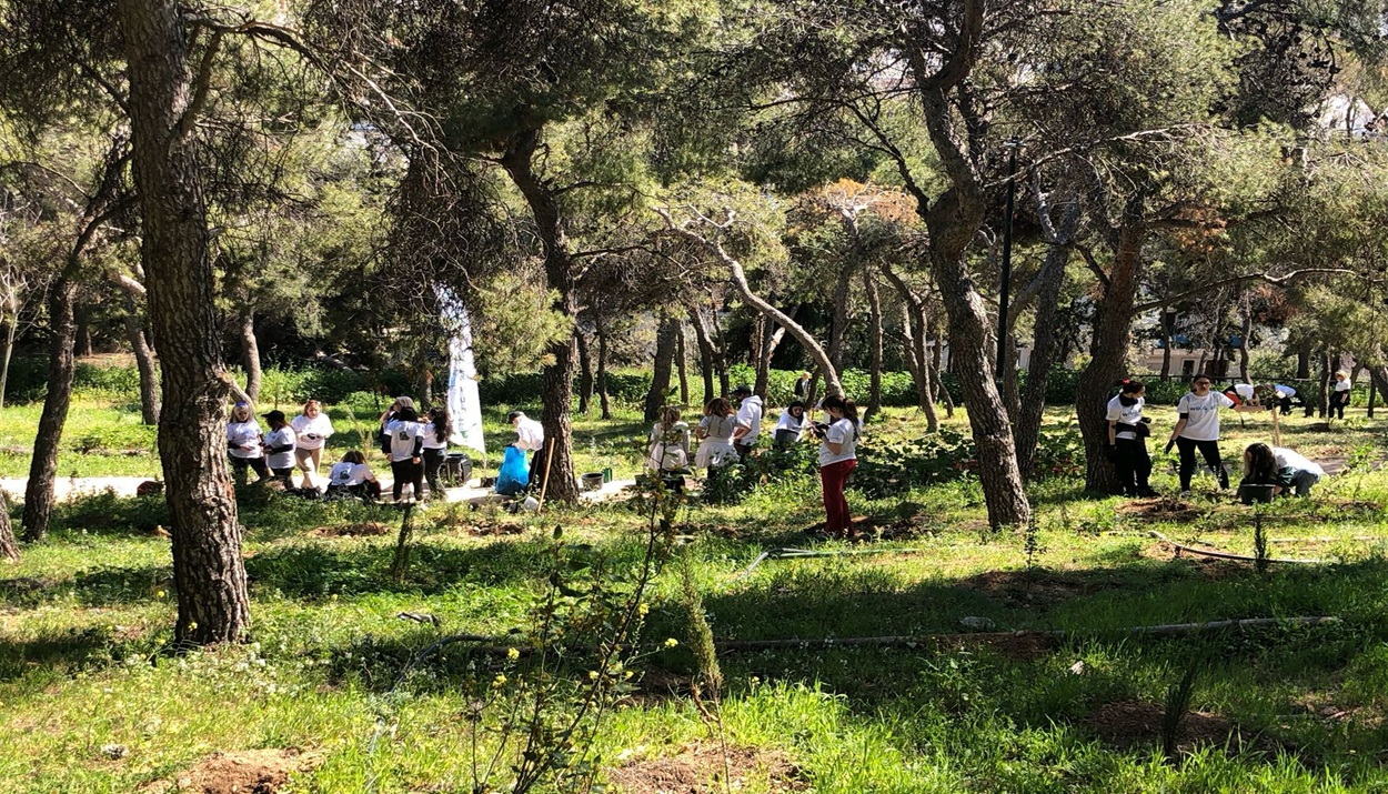 ΔΕΝΔΡΟΦΥΤΕΥΣΗ