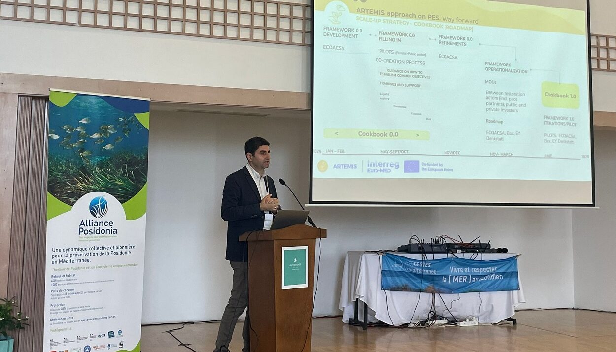 David Alvarez García © Artemis Interreg Euro-MED/ Linkedin