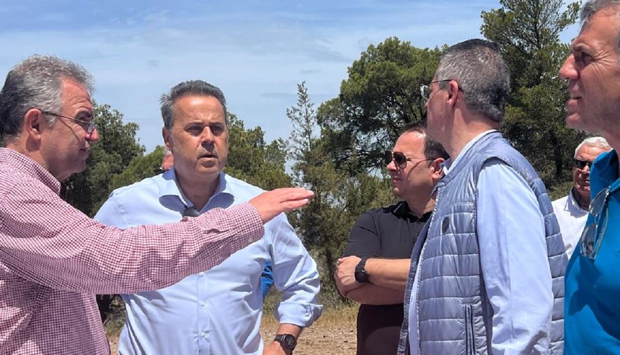 ΠΑΠΑΣΤΑΥΡΟΥ