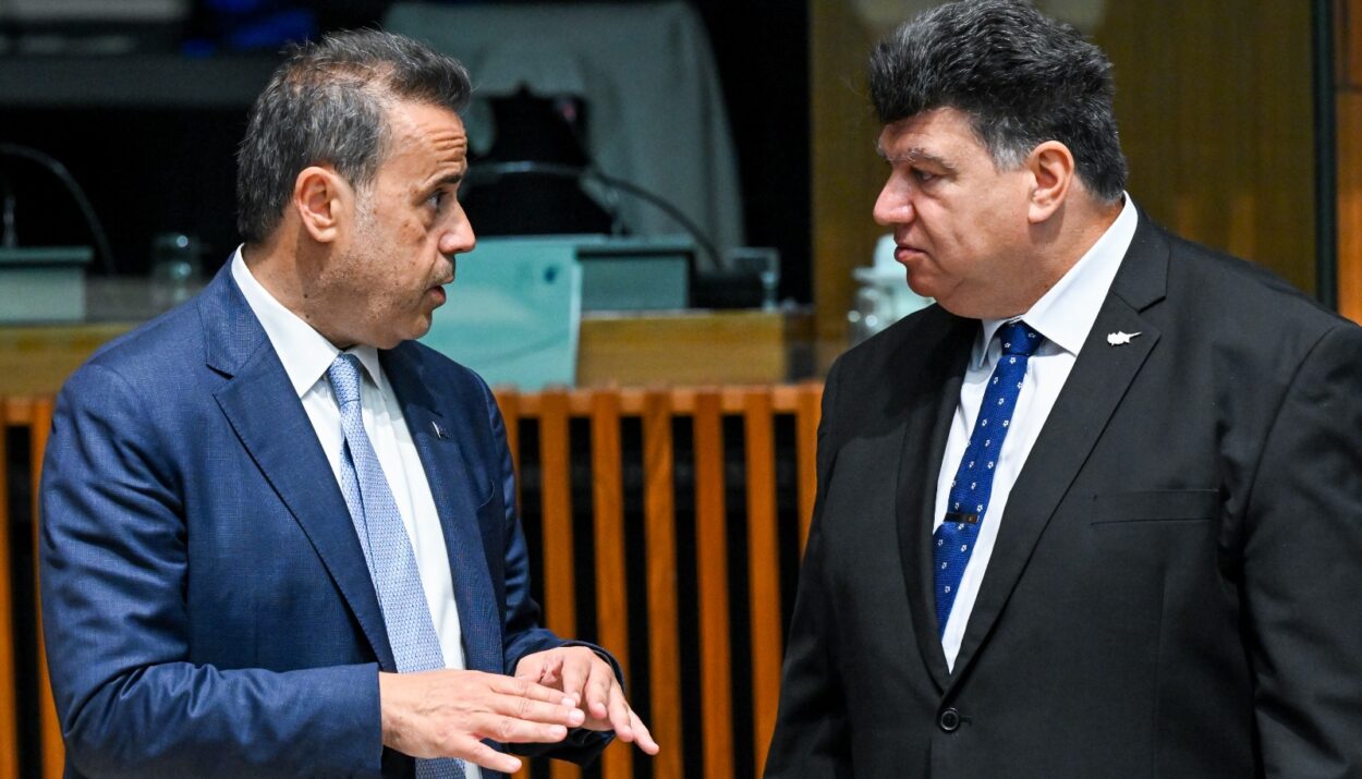 ΠΑΠΑΣΤΑΥΡΟΥ ΣΤΑΥΡΟΣ ΚΑΙ ΜΑΡΙΟΣ ΠΑΝΑΓΙΔΗΣ