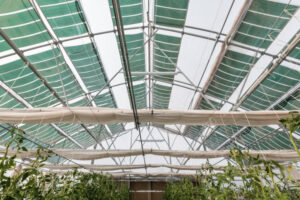 ΑΓΡΟΒΟΛΤΑΙΚΑ ΤΗΣ OET