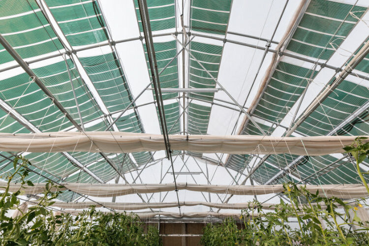 ΑΓΡΟΒΟΛΤΑΙΚΑ ΤΗΣ OET