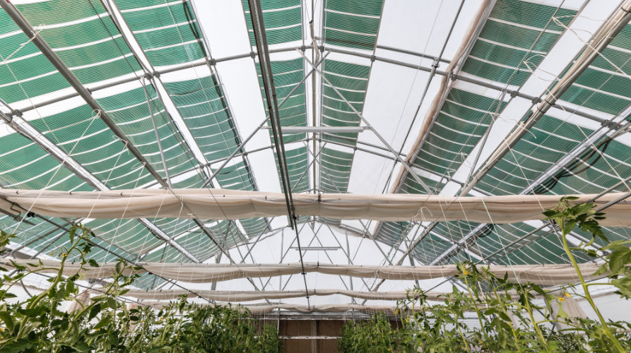 ΑΓΡΟΒΟΛΤΑΙΚΑ ΤΗΣ OET