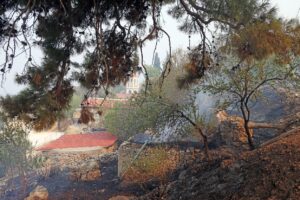 Τι άφησε πίσω η φωτιά που ξέσπασε τον Αύγουστο στη Χίο © ΙΝΤΙΜΕ