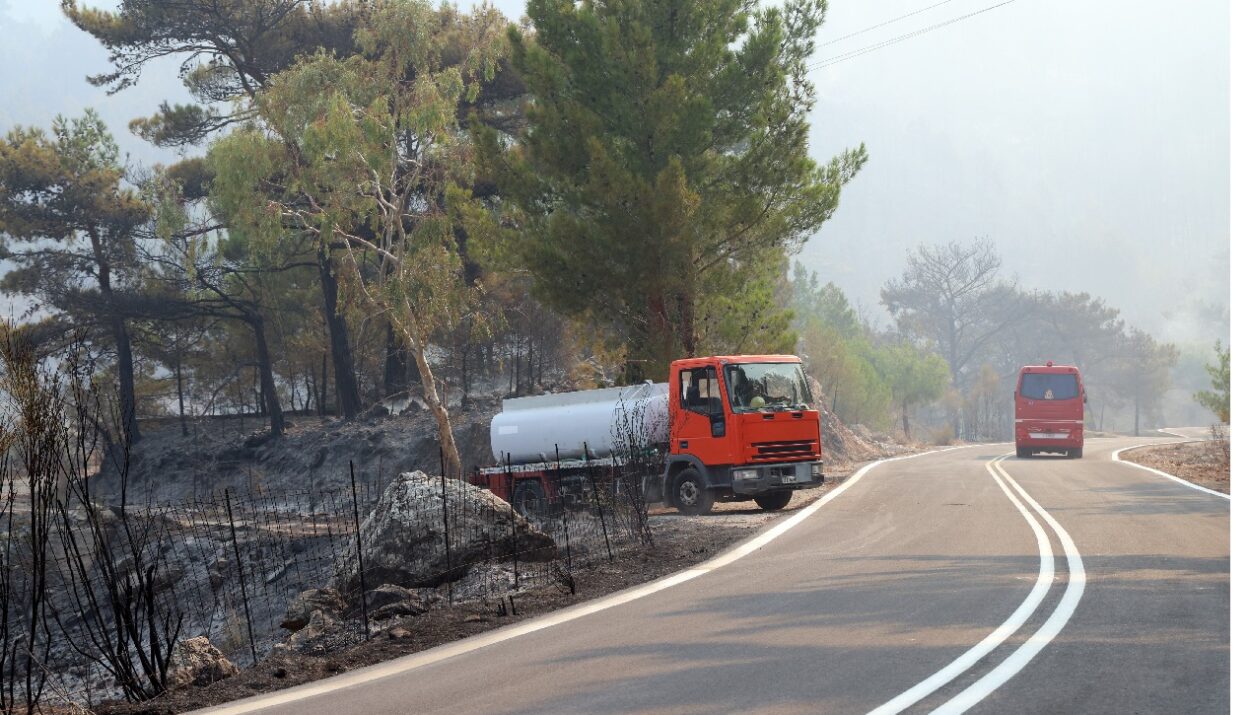 Εικόνες από τη φωτιά που ξέσπασε τον Αύγουστο στη Χίο © ΙΝΤΙΜΕ