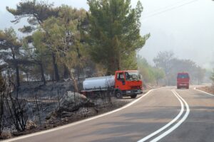 Εικόνες από τη φωτιά που ξέσπασε τον Αύγουστο στη Χίο © ΙΝΤΙΜΕ