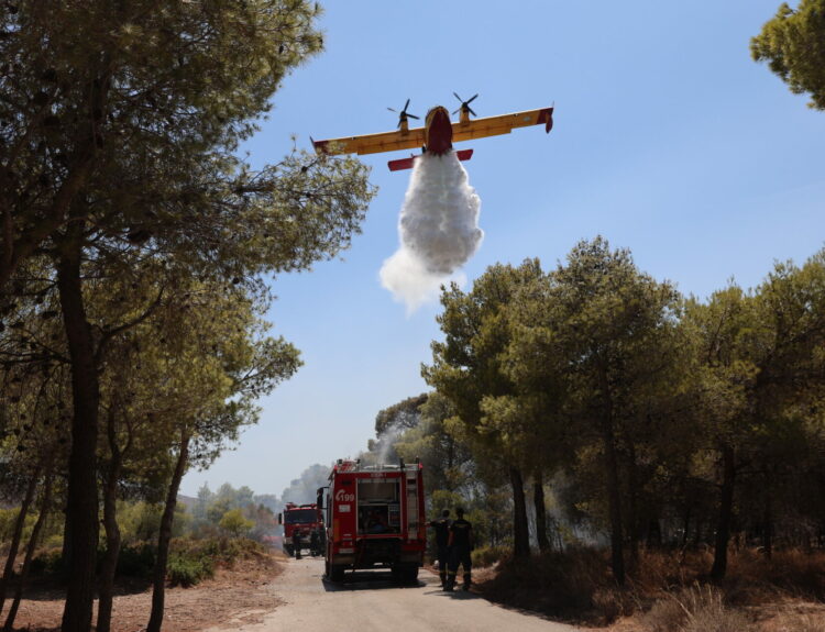 ΠΥΡΚΑΓΙΑ ΣΤΗΝ ΚΕΡΑΤΕΑ