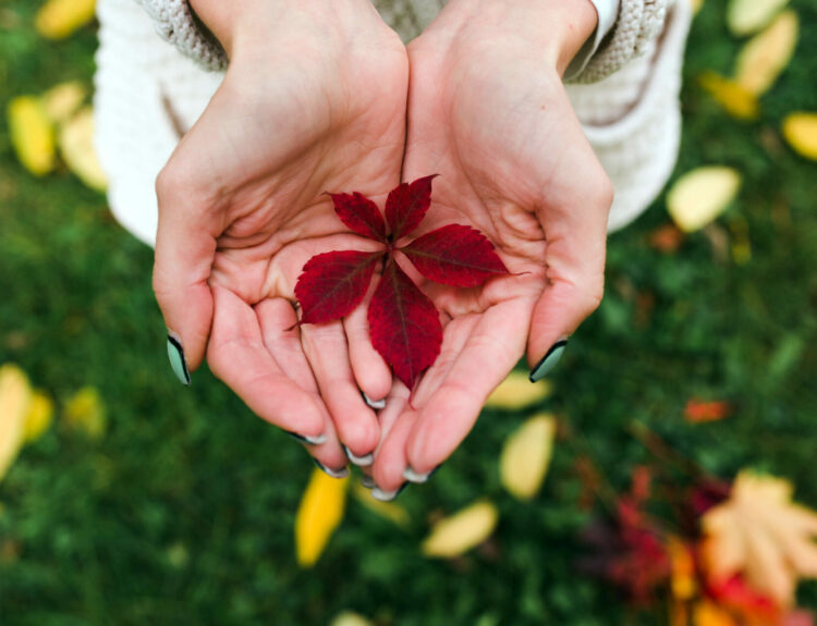 ΠΡΑΣΙΝΗ ΜΕΤΑΒΑΣΗ, ΦΥΣΗ. ΧΕΡΙΑ ΠΟΥ ΚΡΑΤΟΥΝ ΦΥΛΛΑ