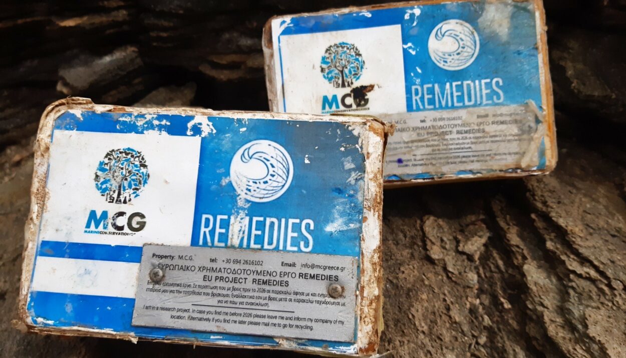 REMEDIES MISS 2021 OCEAN03