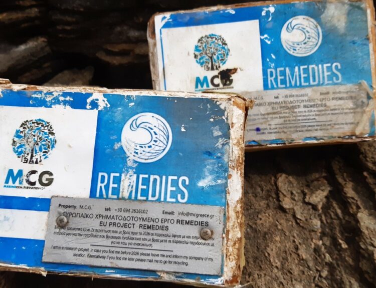 REMEDIES MISS 2021 OCEAN03