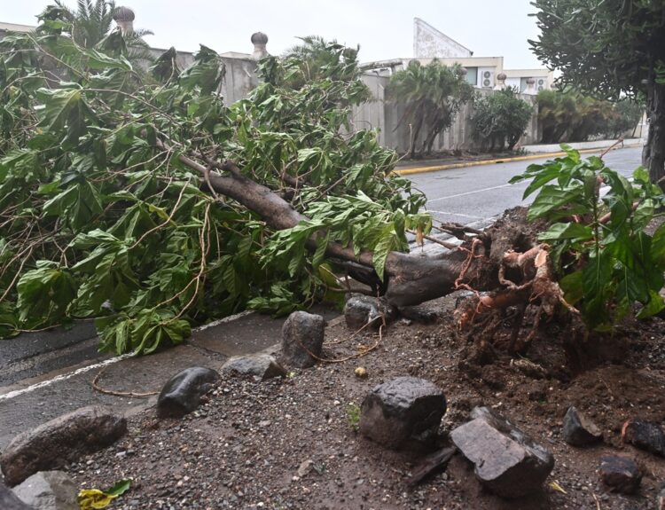 ΖΗΜΙΕΣ ΣΤΗΝ ΤΖΑΜΑΙΚΑ ΑΠΟ ΤΟΝ ΤΥΦΩΝΑ ΜΕΛΙΣΑ