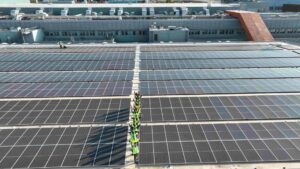 ΠΑΠΑΣΤΡΑΤΟΣ