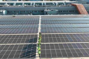 ΠΑΠΑΣΤΡΑΤΟΣ