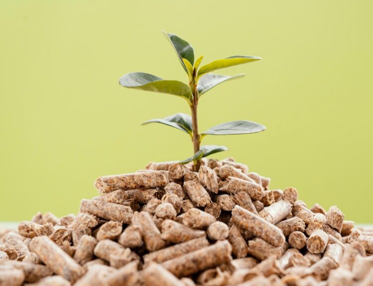 Αγροβιομαζά © freepik