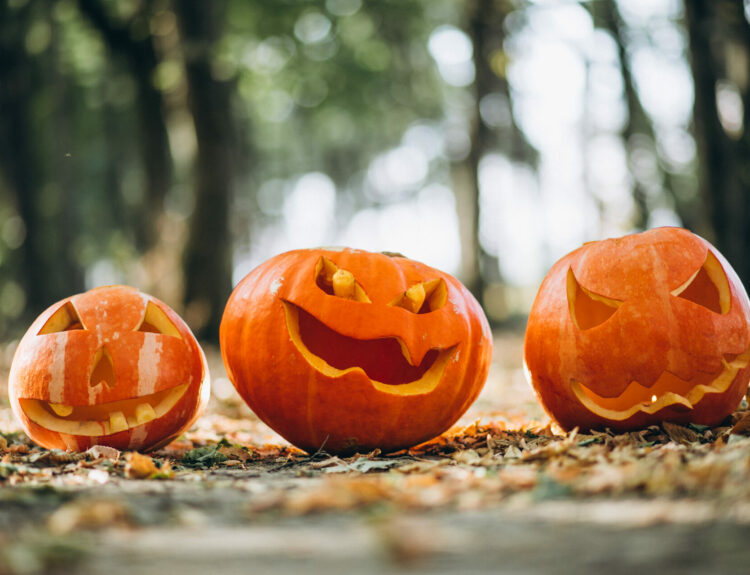 ΚΟΛΟΚΥΘΕΣ HALOWEEN