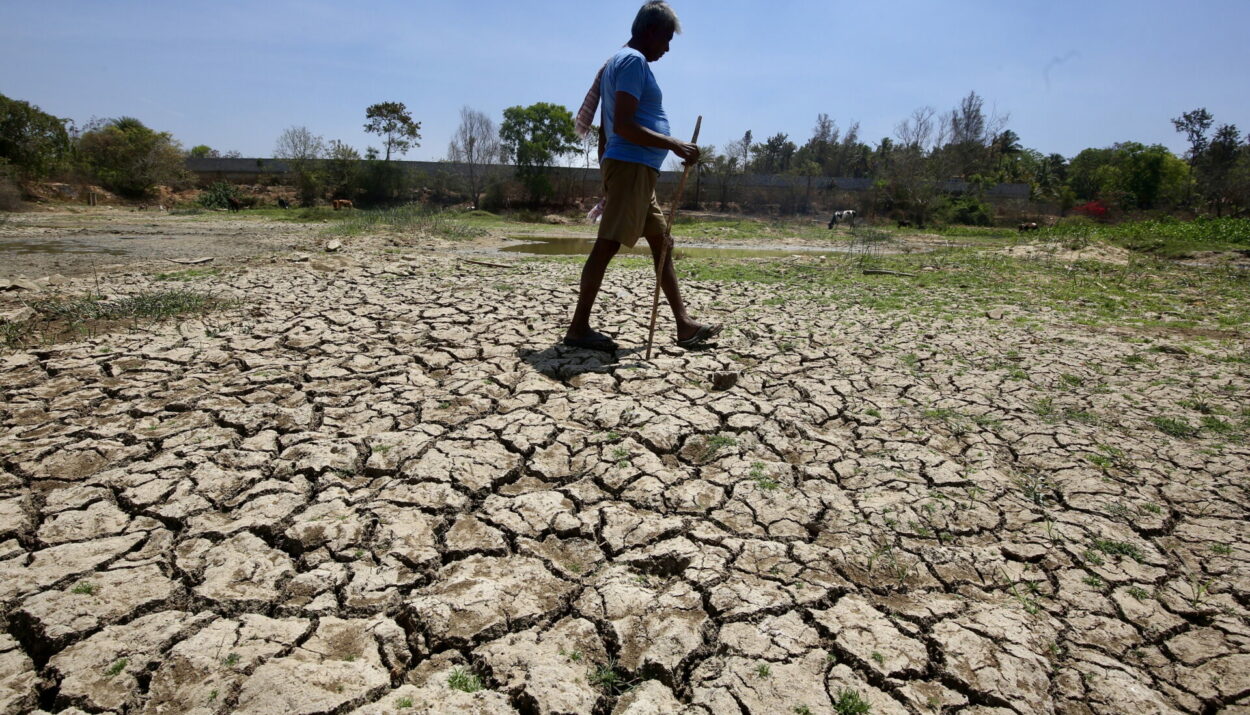 ΞΗΡΑΣΙΑ ΣΤΗΝ ΙΝΔΙΑ