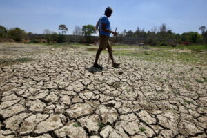 ΞΗΡΑΣΙΑ ΣΤΗΝ ΙΝΔΙΑ