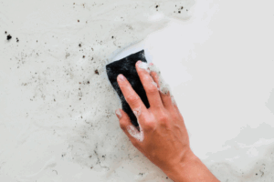 ΜΟΥΧΛΑ ΣΤΟΝ ΤΟΙΧΟ