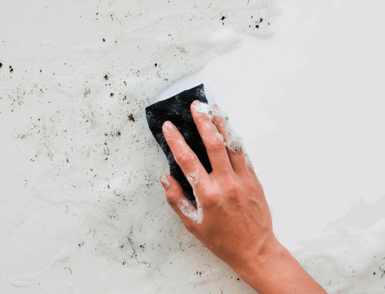 ΜΟΥΧΛΑ ΣΤΟΝ ΤΟΙΧΟ