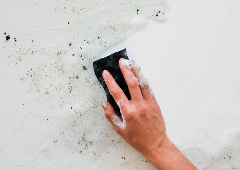 ΜΟΥΧΛΑ ΣΤΟΝ ΤΟΙΧΟ