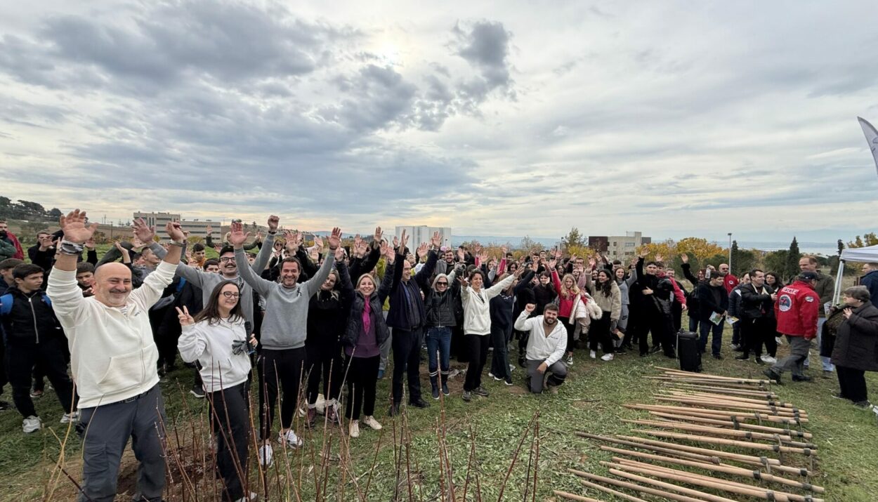 ΔΕΝΤΡΟΦΥΤΕΥΣΗ