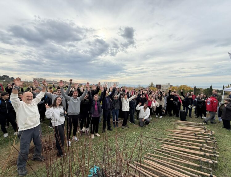 ΔΕΝΤΡΟΦΥΤΕΥΣΗ