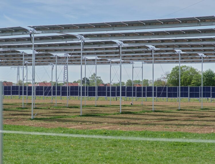 ΑΓΡΟΒΟΛΤΑΪΚΑ