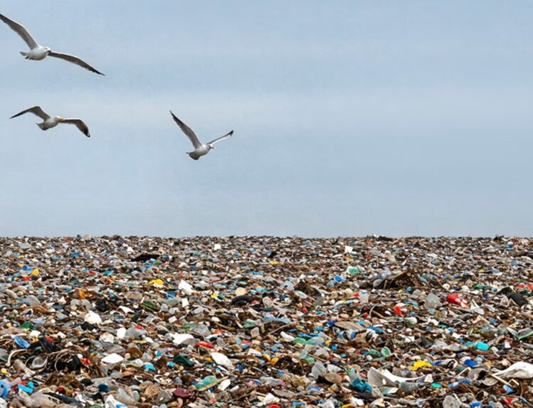 ΑΠΟΡΡΙΜΜΑΤΑ, ΣΚΟΥΠΙΔΙΑ, ΑΠΟΒΛΗΤΑ