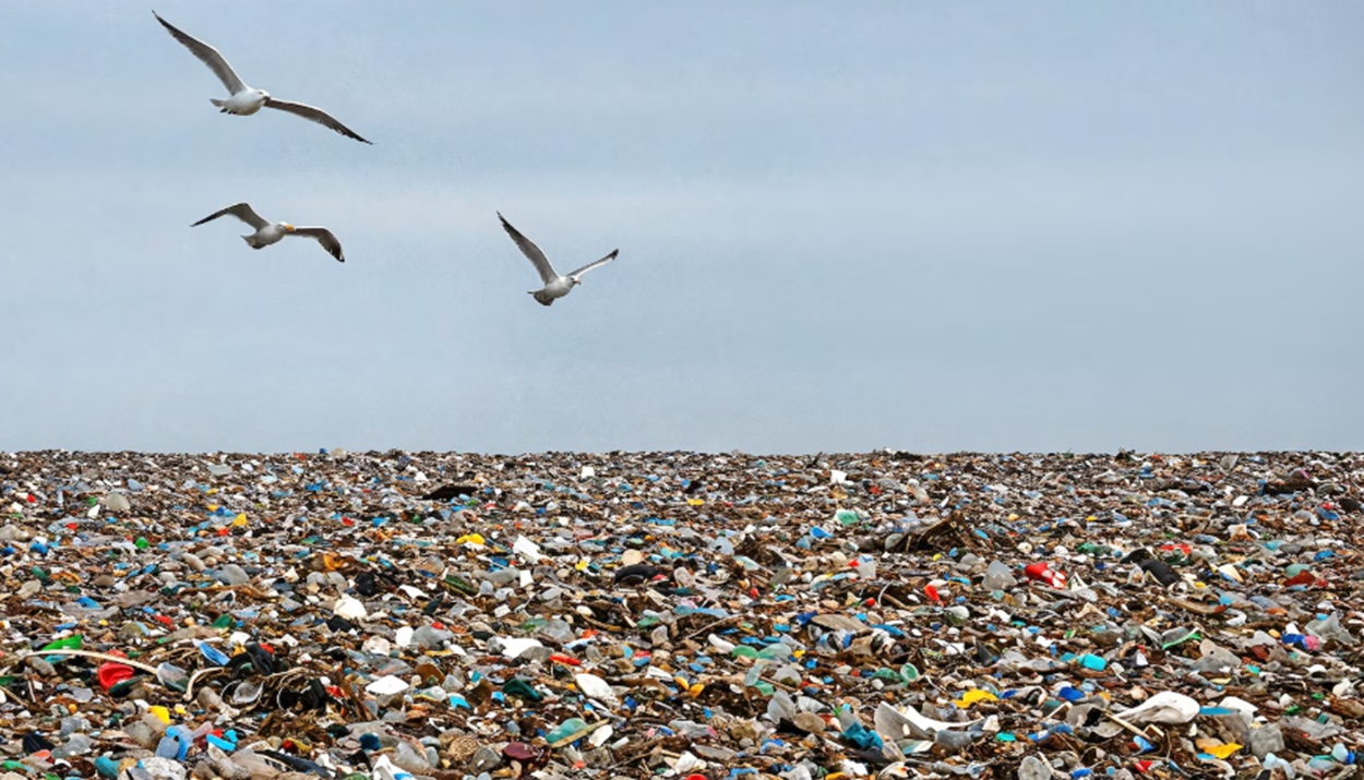 ΑΠΟΡΡΙΜΜΑΤΑ, ΣΚΟΥΠΙΔΙΑ, ΑΠΟΒΛΗΤΑ