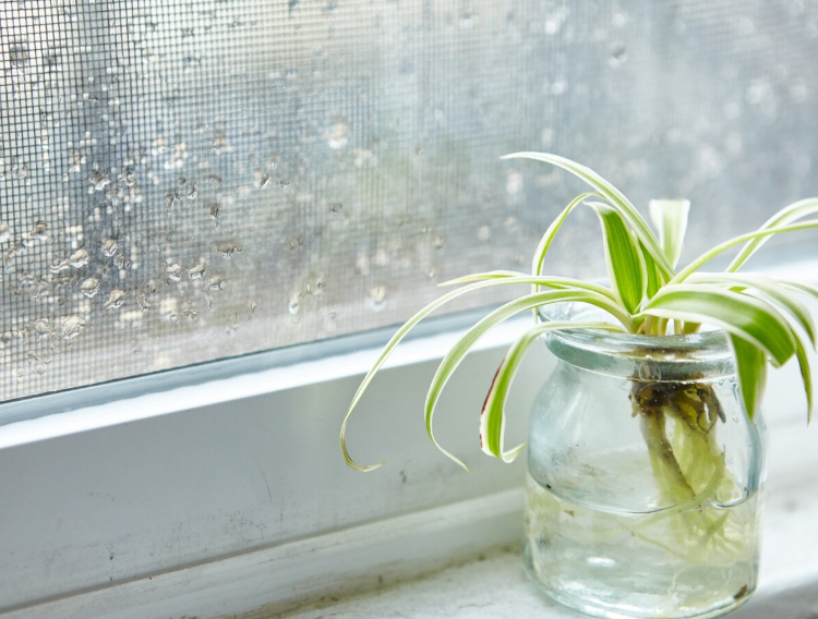 ΥΓΡΑΣΙΑ ΣΤΟ ΣΠΙΤΙ