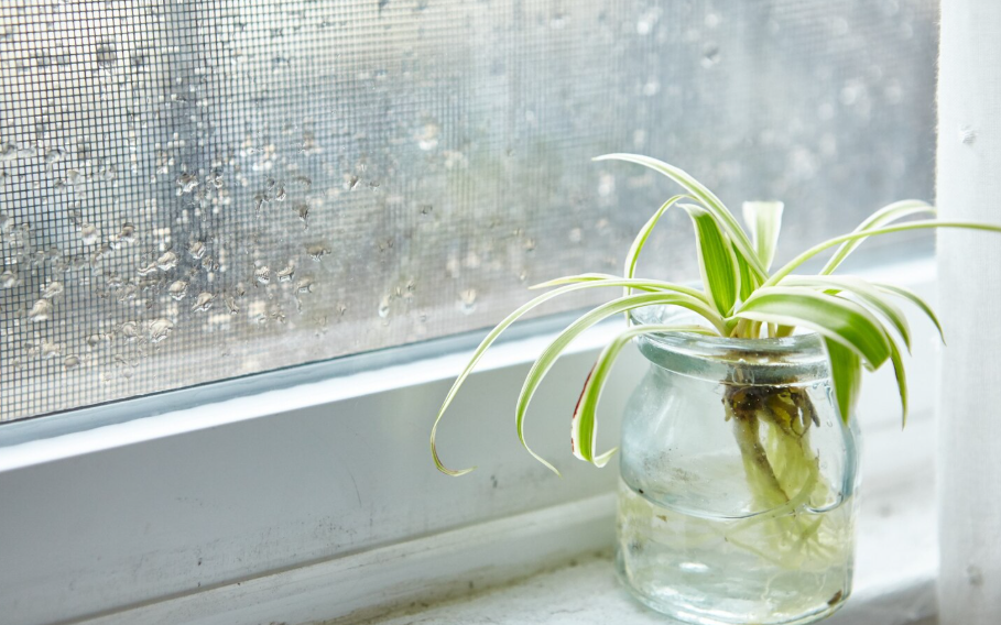ΥΓΡΑΣΙΑ ΣΤΟ ΣΠΙΤΙ