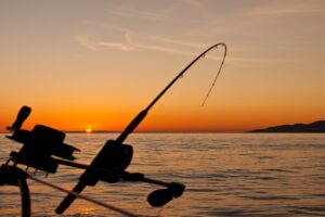 ΑΛΙΕΙΑ, ΨΑΡΕΜΑ