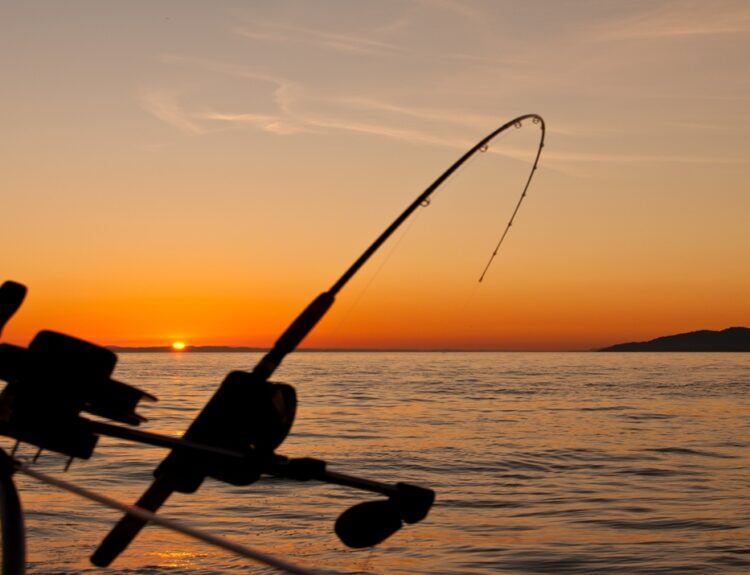 ΑΛΙΕΙΑ, ΨΑΡΕΜΑ