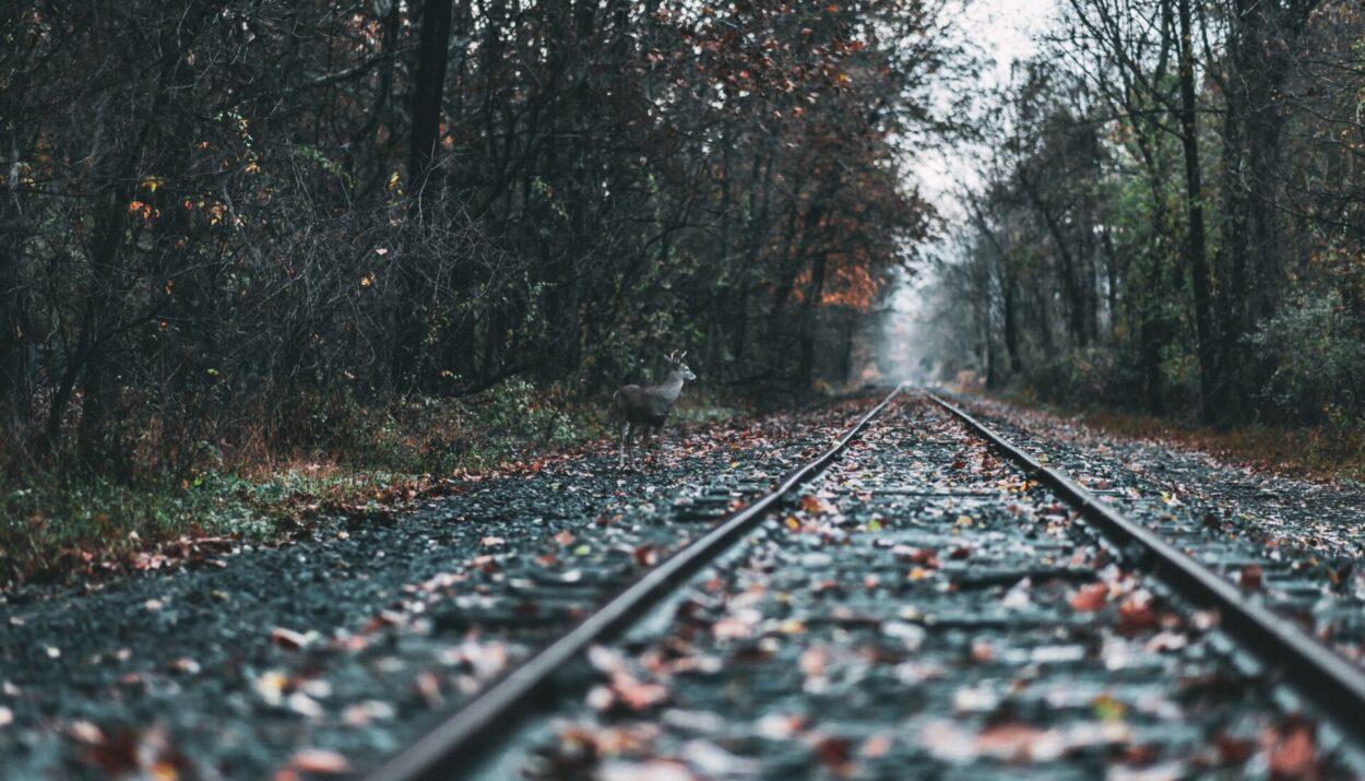 ΣΙΔΗΡΟΔΡΟΜΟΣ