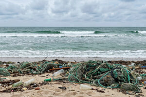 Δίχτυα © freepik