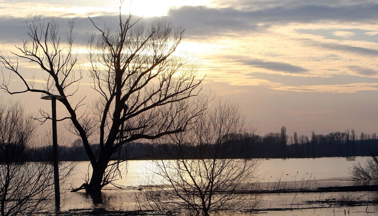 ΕΒΡΟΣ ΠΟΤΑΜΟΣ
