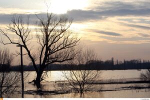 ΕΒΡΟΣ ΠΟΤΑΜΟΣ