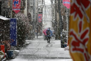 ΙΑΠΩΝΙΑ, ΧΙΟΝΙ