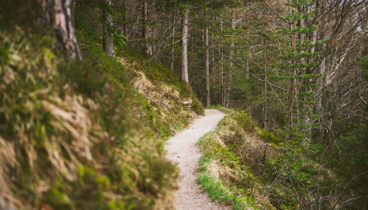 ΜΟΝΟΠΑΤΙ, ΦΥΣΗ